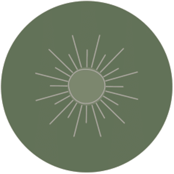 Sluitzegel -  Zon | groen