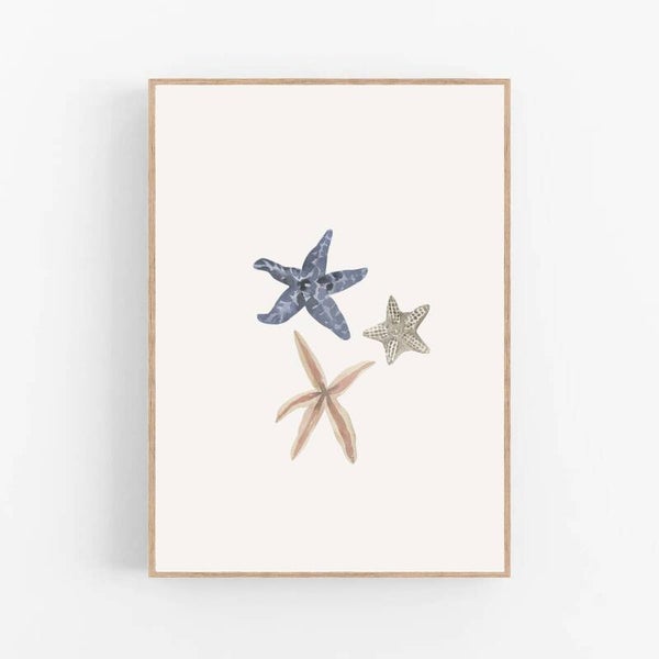 Zeesterren | Under the sea
