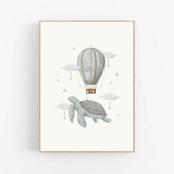 Memories of dreams | Turtle