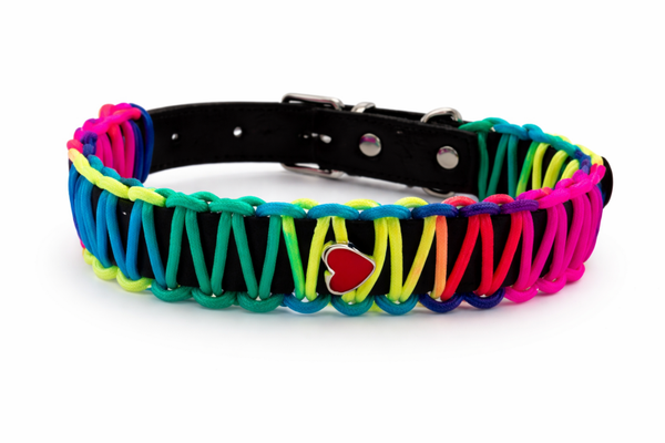 Bestaande halsband met Paracord. STOCKMODEL