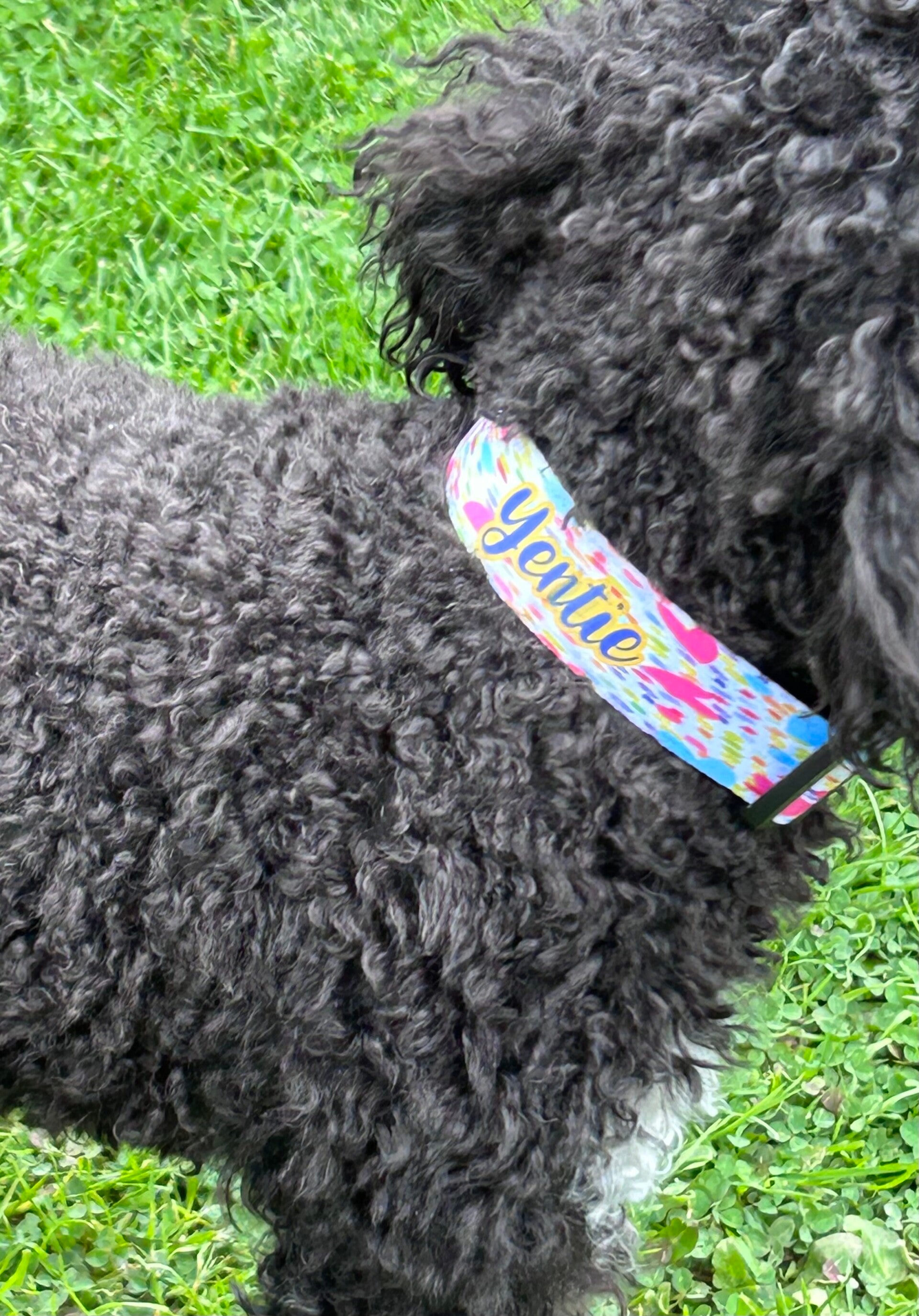 Gepersonaliseerde halsband