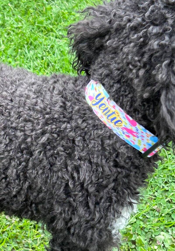 Gepersonaliseerde halsband