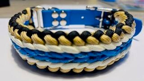 Stockmodel blauwe Biothane gesp