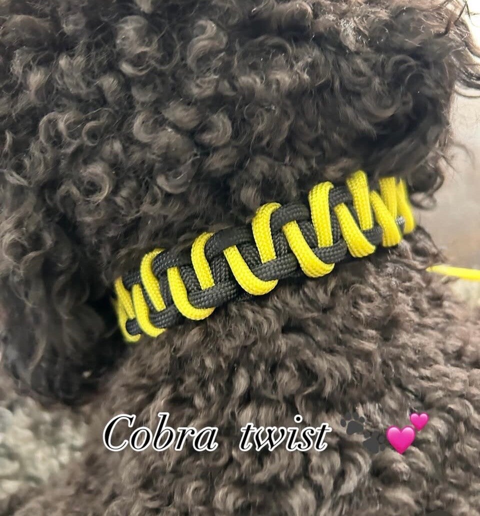 Stockverkoop: Cobra twist halsband
