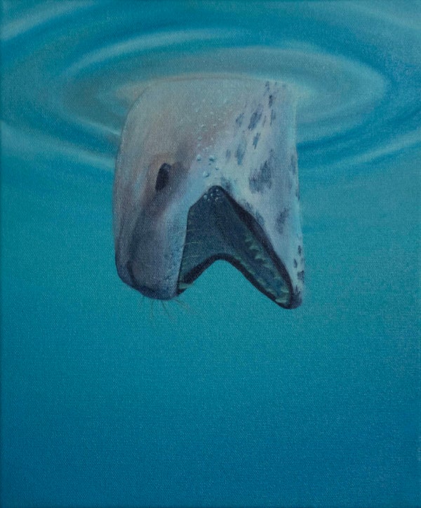 Sous l'eau