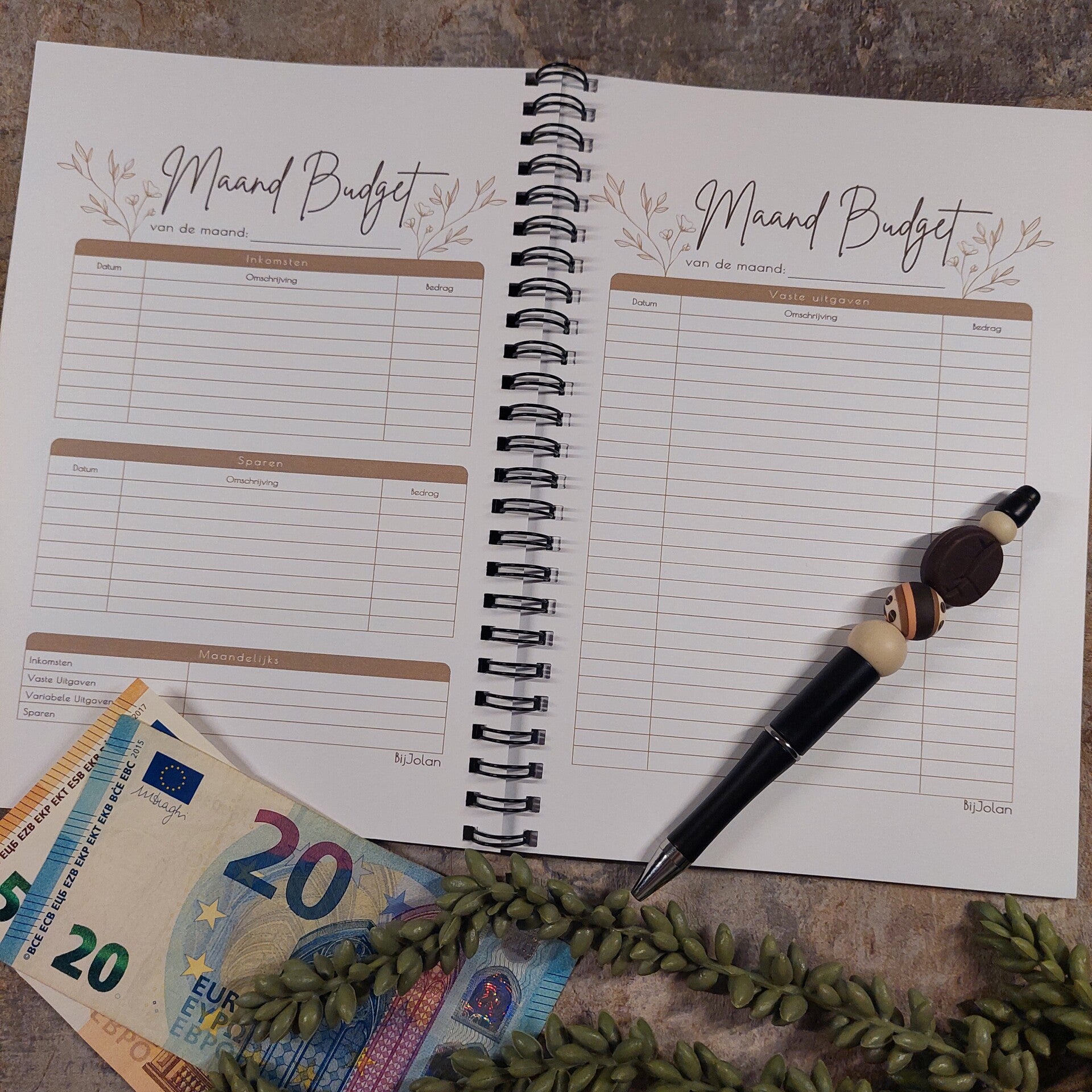 Maand Budget Overzicht - BijJolan
