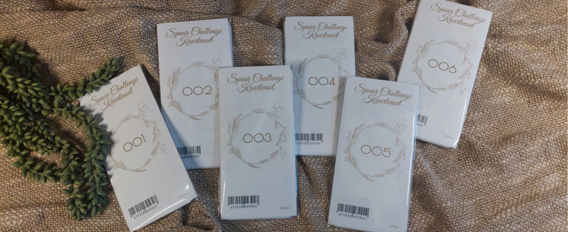 Spaar Challenge Kaart Gelamineerd Budgetplanner BijJolan