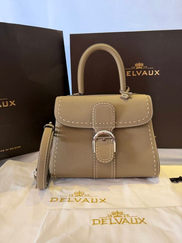 Delvaux Brillant PM Surpique