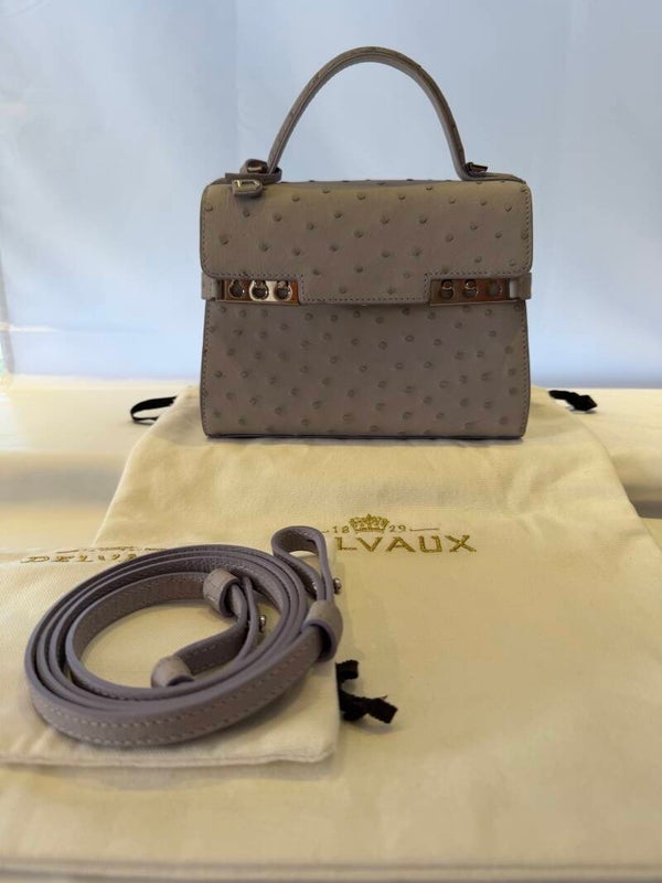 Delvaux Tempête mini Ostrich
