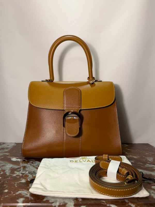 Delvaux brillant MM camaieux chocolate