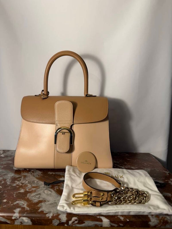 Delvaux brillant MM Vision Camaïeux