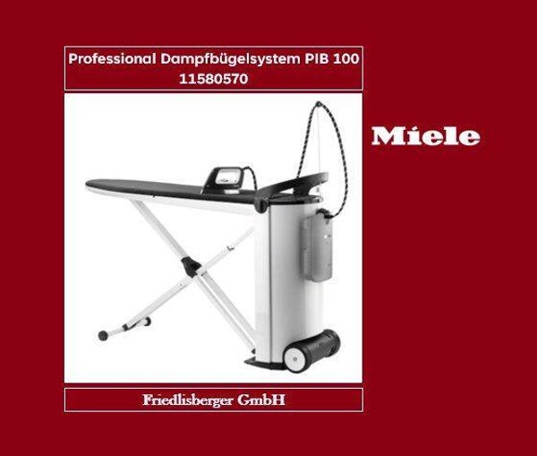 Professional Dampfbügelsystem PIB 100 11580570