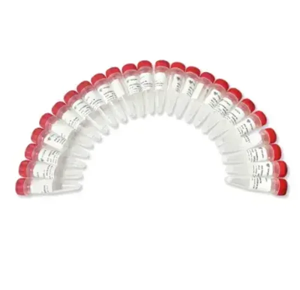 VAHTS RNA Adapters Set 8 for MGI-NM208