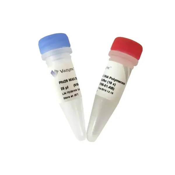 Phi29 MAX DNA Polymerase-N106