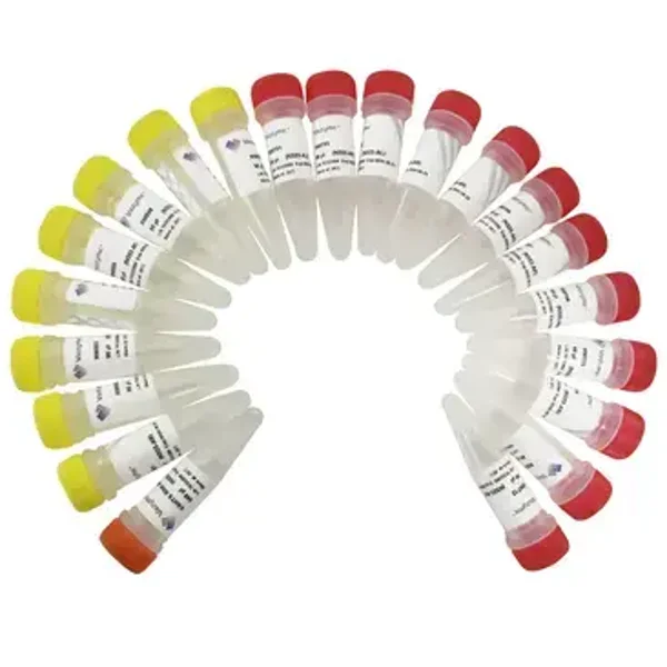 VAHTS RNA Multiplex Oligos Set 1/Set 2 for Illumina-N323/N324