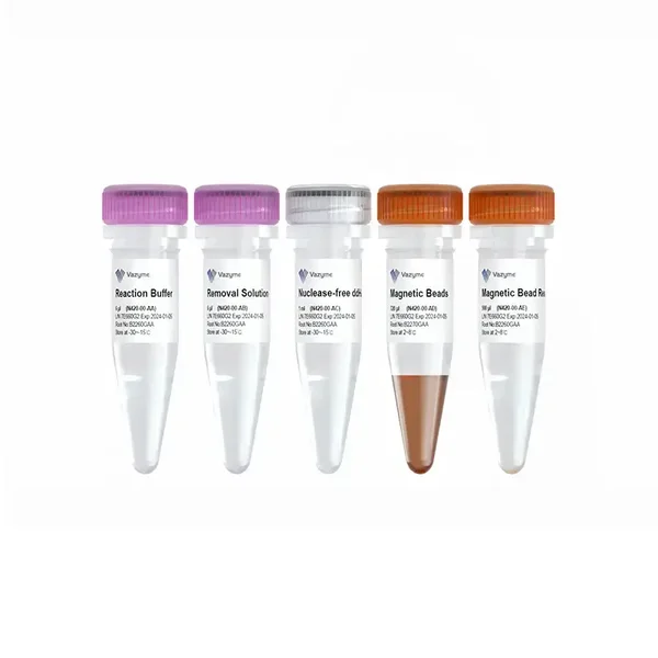 Ribo-MagOff rRNA Depletion Kit (Human/Mouse/Rat)-N420