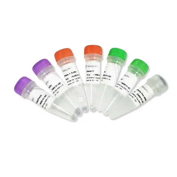 Ribo-off rRNA depletion kit (Plant)-N409