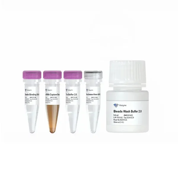 VAHTS mRNA Capture Beads 2.0-N403