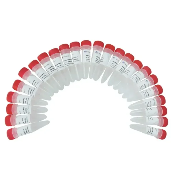 VAHTS RNA Adapters Set 3 - Set 6 for Illumina-N809/N810/N811/N812