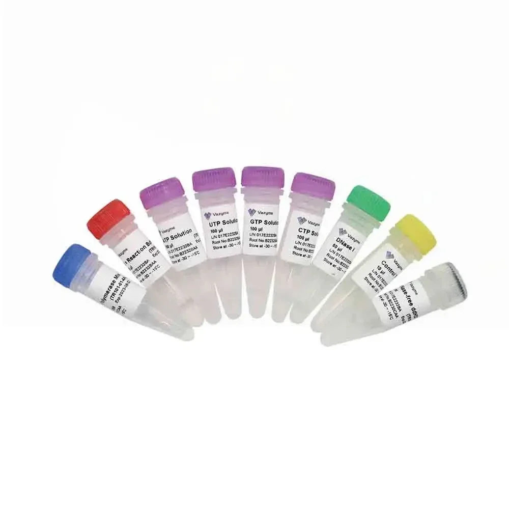 T7 High Yield RNA Transcription Kit-TR101