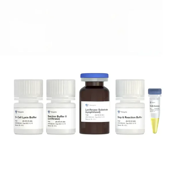 Dual Luciferase Reporter Assay Kit-DL101