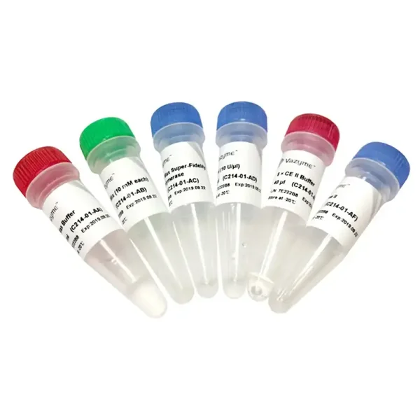 Mut Express II Fast Mutagenesis Kit V2-C214