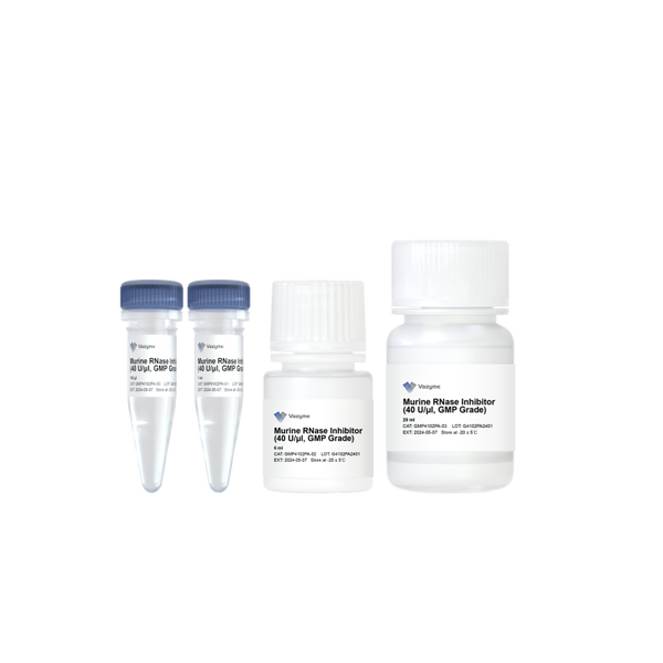 Murine RNase Inhibitor (40 U/μl, GMP Grade)-GMP4102PA