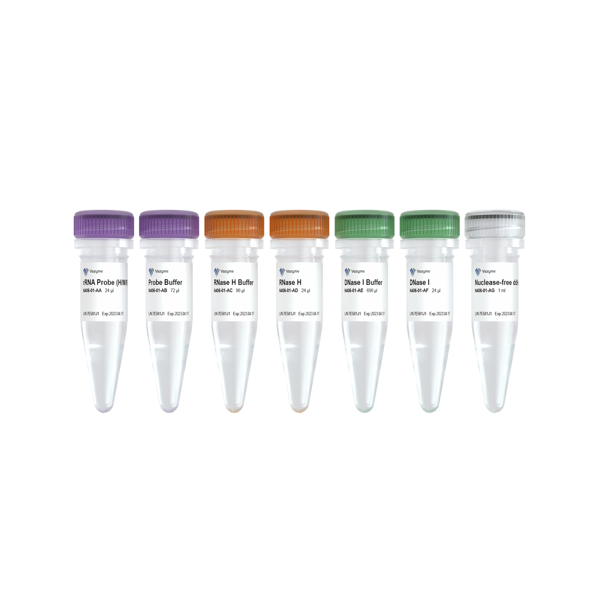 Ribo-off rRNA Depletion Kit (Human/Mouse/Rat)-N406