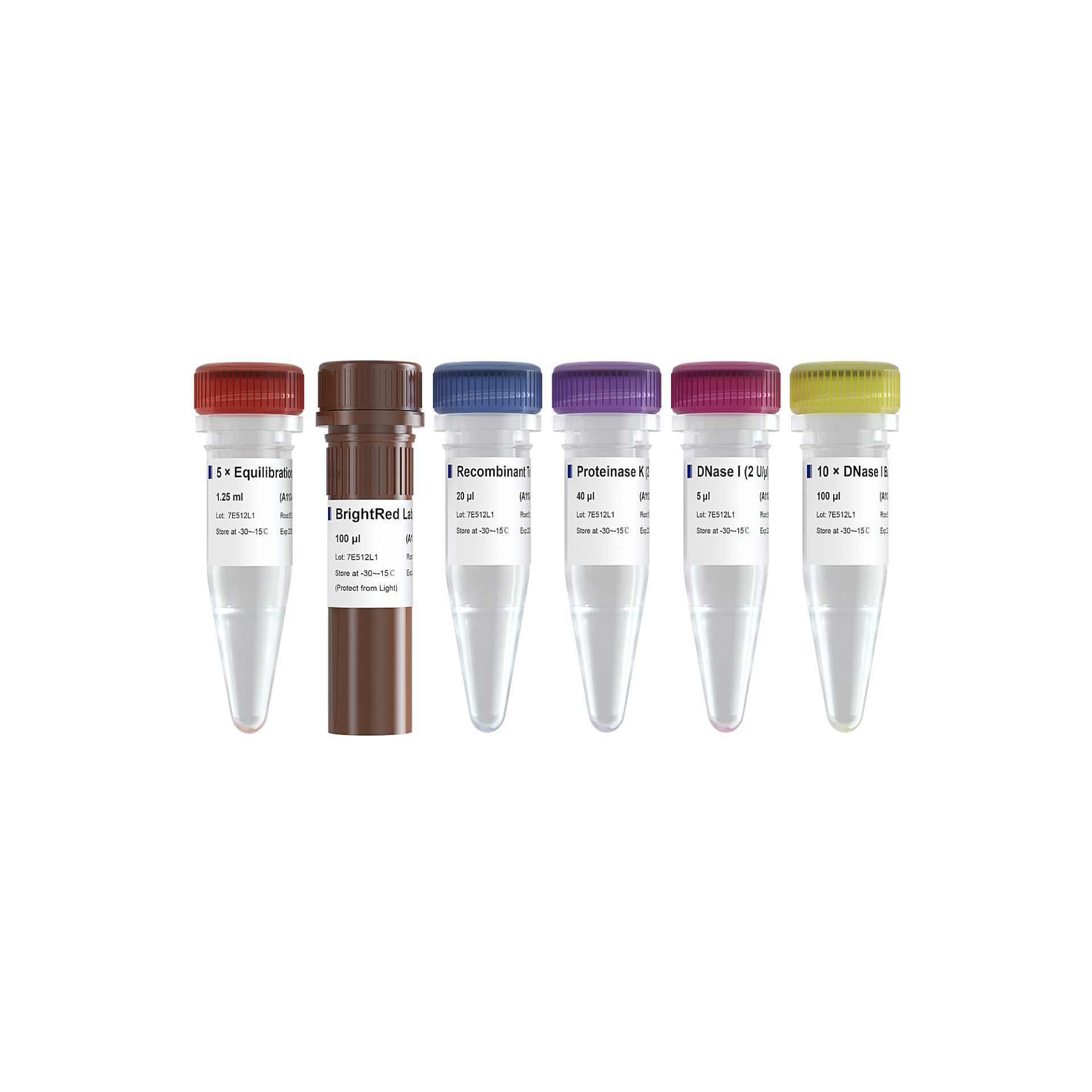 TUNEL BrightRed Apoptosis Detection Kit-A113