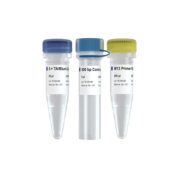 5 min TA/Blunt-Zero Cloning Kit-C601