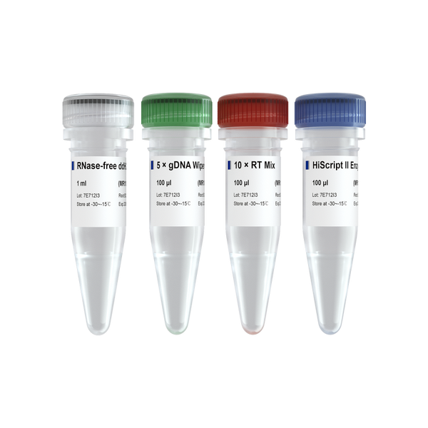 miRNA 1st Strand cDNA Synthesis Kit (by stem-loop)-MR101