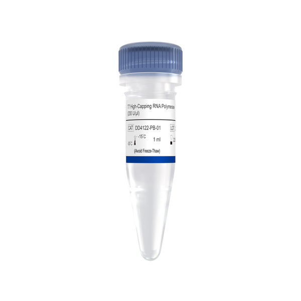 T7 High-Capping RNA Polymerase (200 U/μl)-DD4122-PB