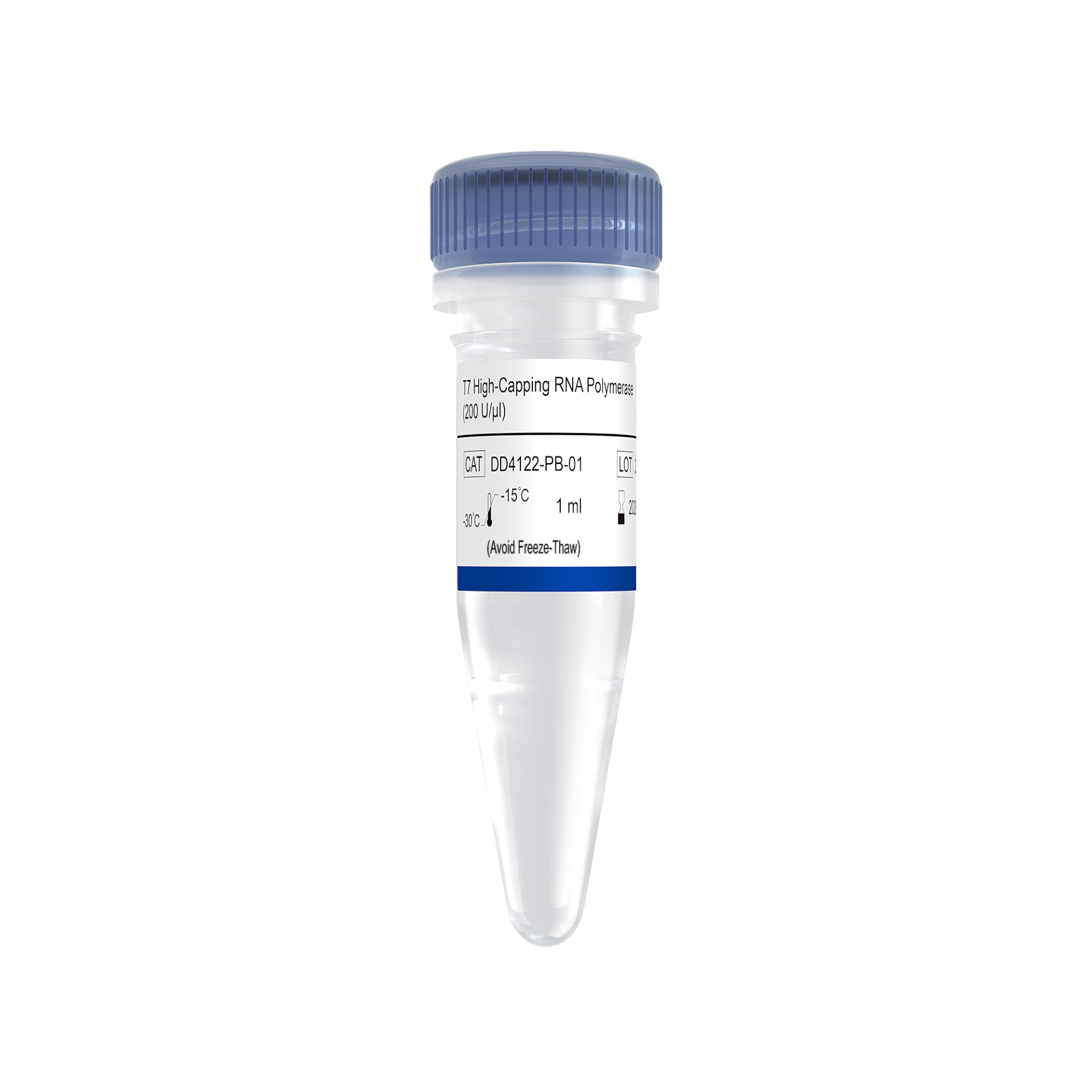 T7 Low-dsRNA RNA Polymerase (200 U/μl)-DD4125-PB