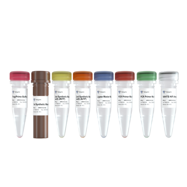 VAHTS Universal V10 RNA-seq Library Prep Kit (Premixed Version)-NR616