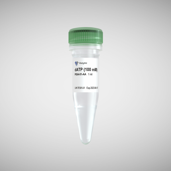 dATP (100 mM)-P034