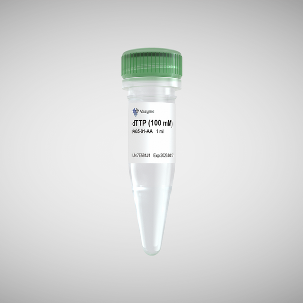 dTTP (100 mM)-P035