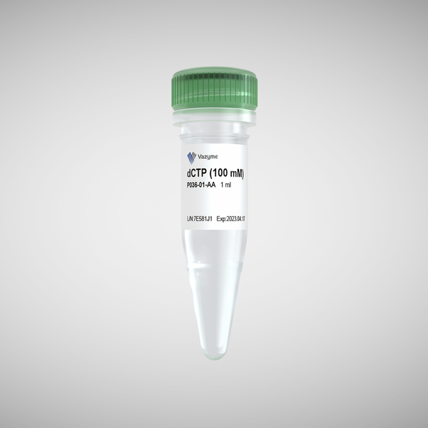 dCTP (100 mM)-P036
