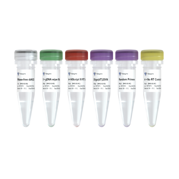 HiScript IV 1st Strand cDNA Synthesis Kit (+gDNA wiper)
