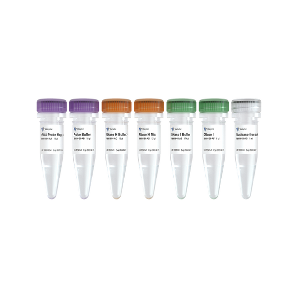 Ribo-clean rRNA Depletion Kit Mega (A/I/P)-RN414