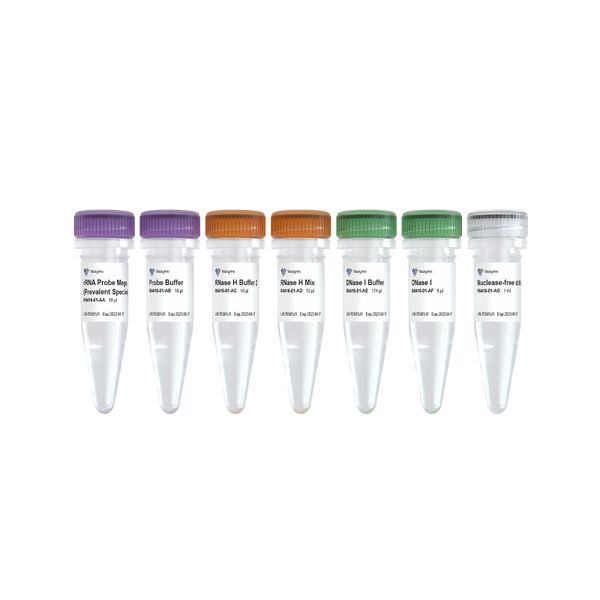 Ribo-clean rRNA Depletion Kit Mega (Prevalent Species)-RN416