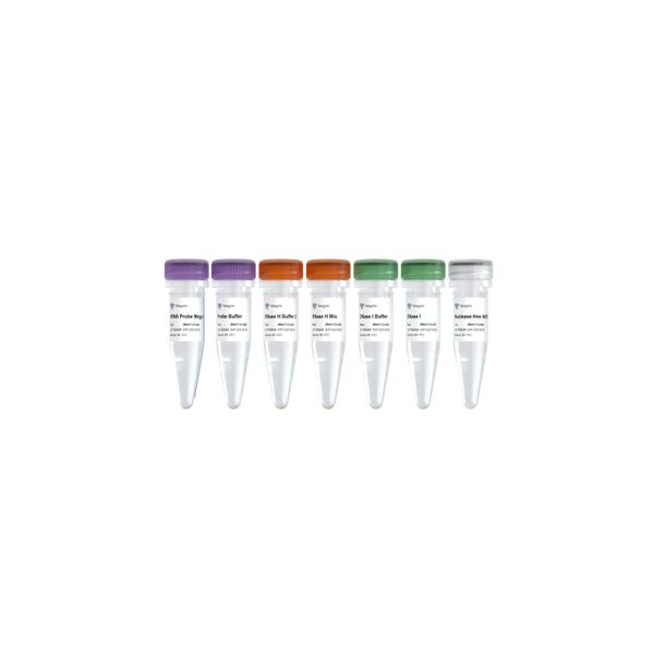 Ribo-clean rRNA Depletion Kit Mega (Bacteria)-RN417