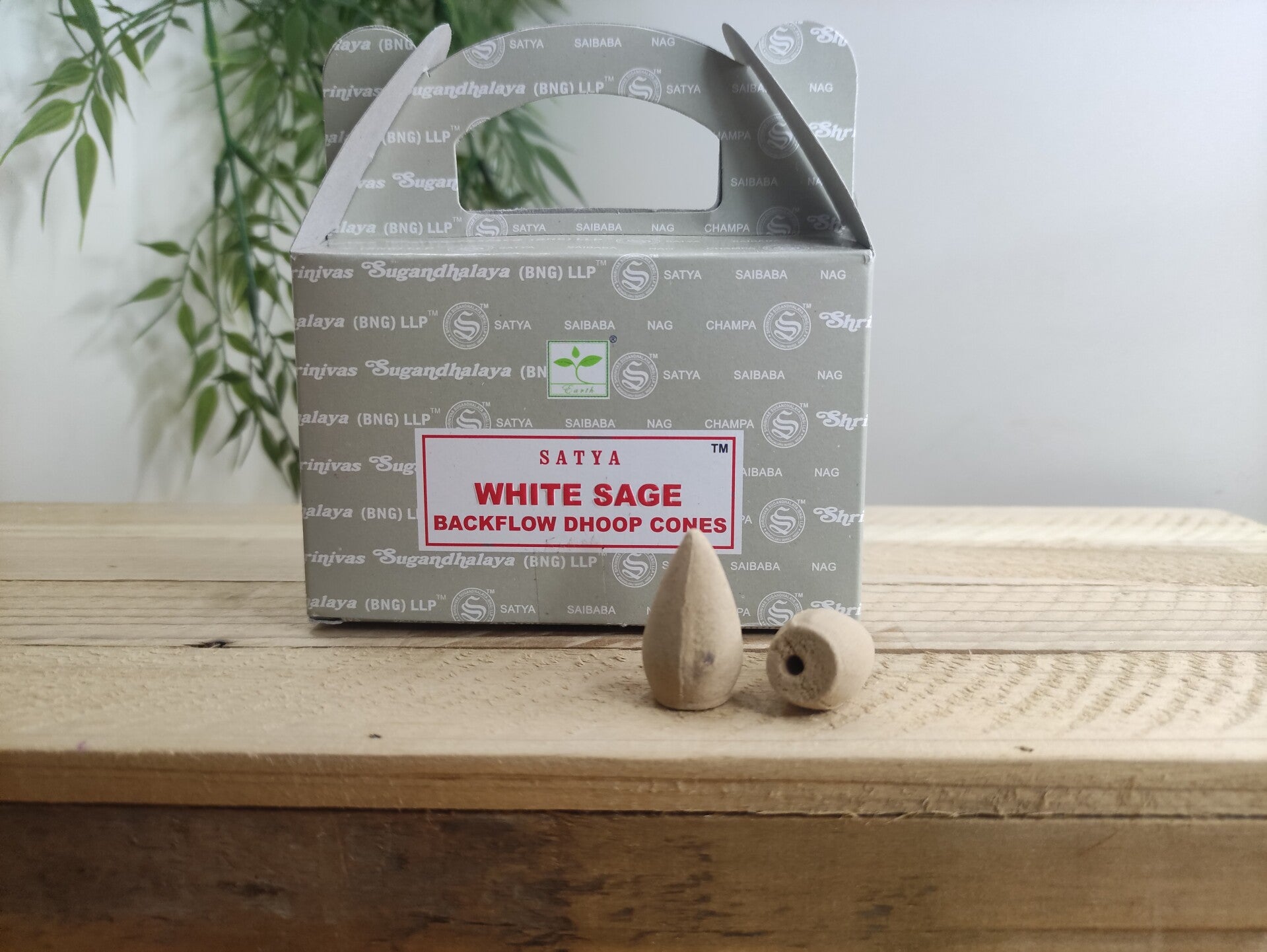 Cône a reflux white sauge