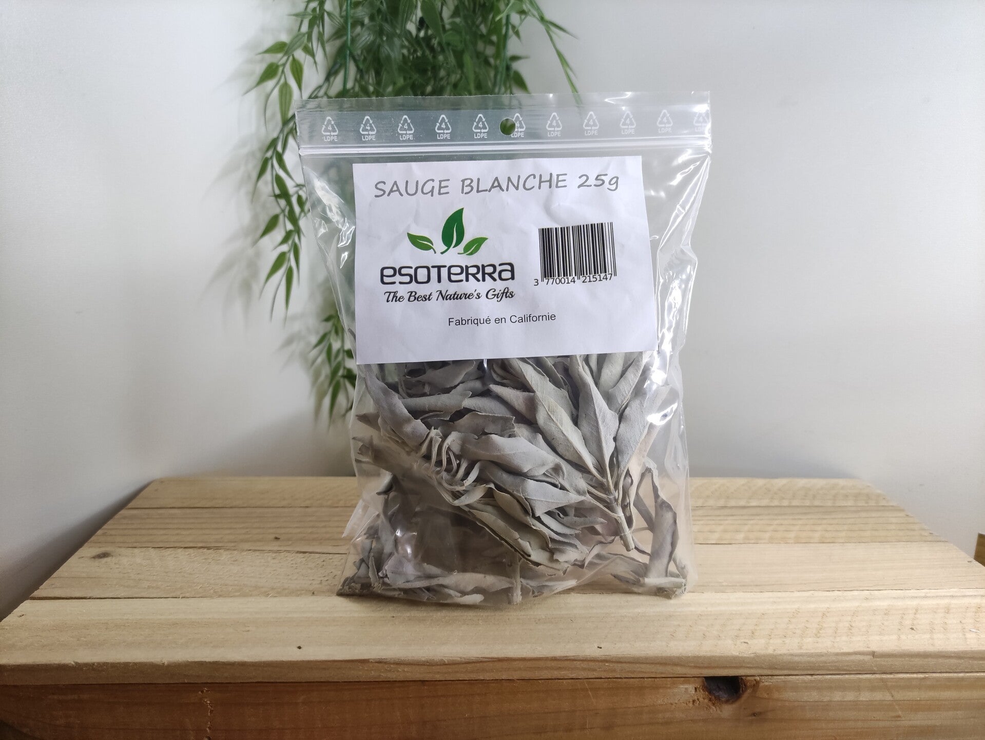 Sauge blanche de Californie ESOTERRA