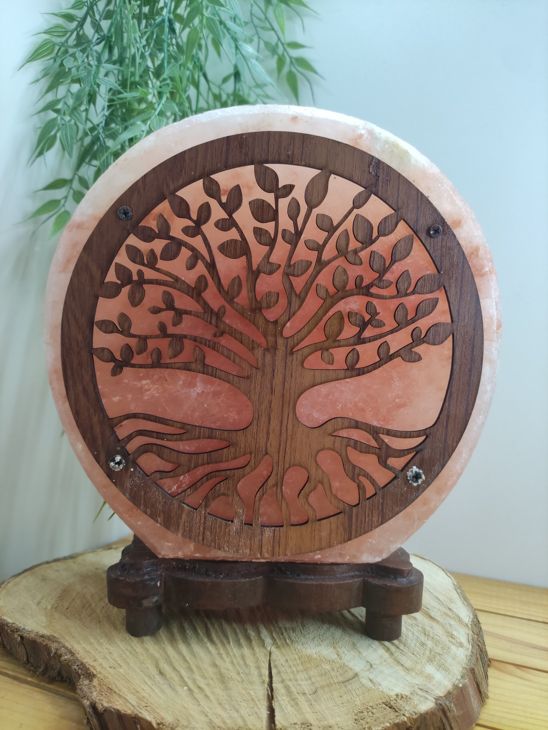 Lampe de sel Arbre de vie
