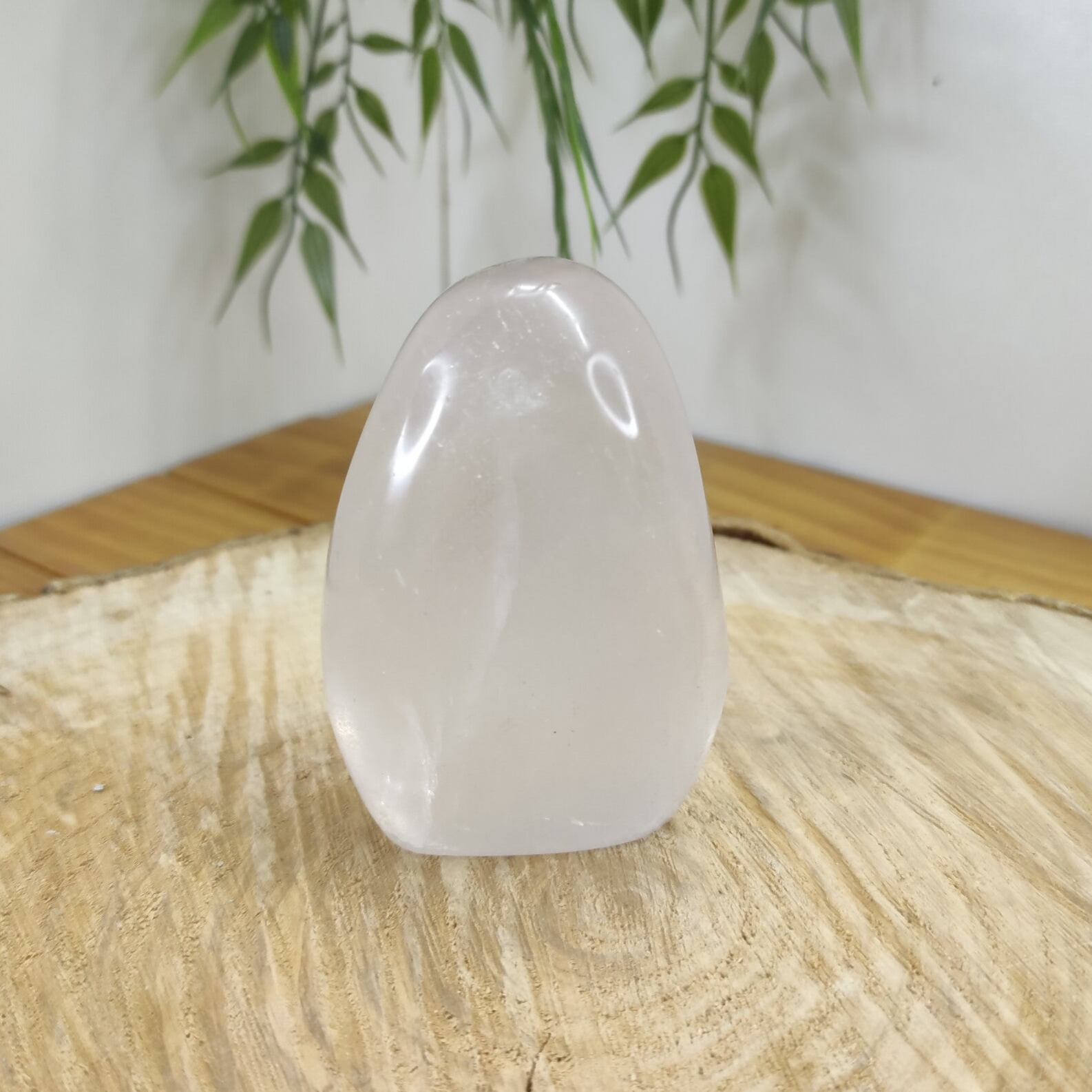 Cristal de roche forme libre 245 g