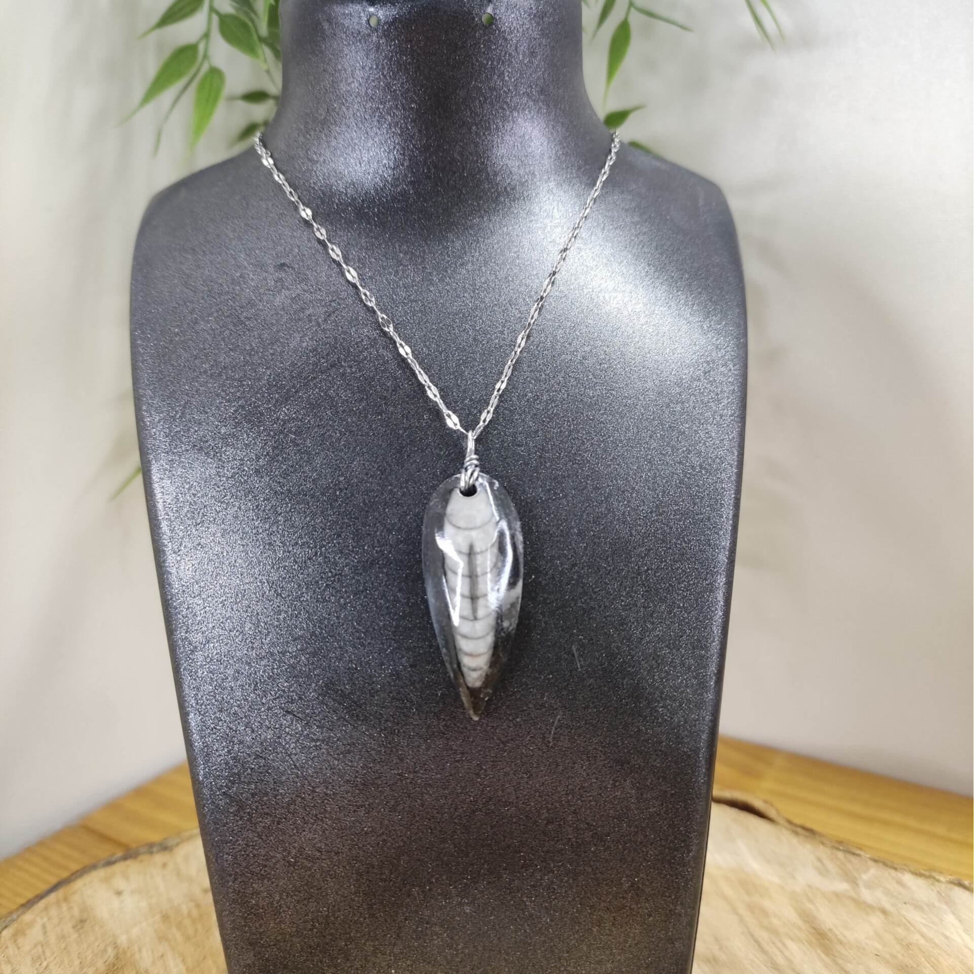 Pendentif Orthoceras