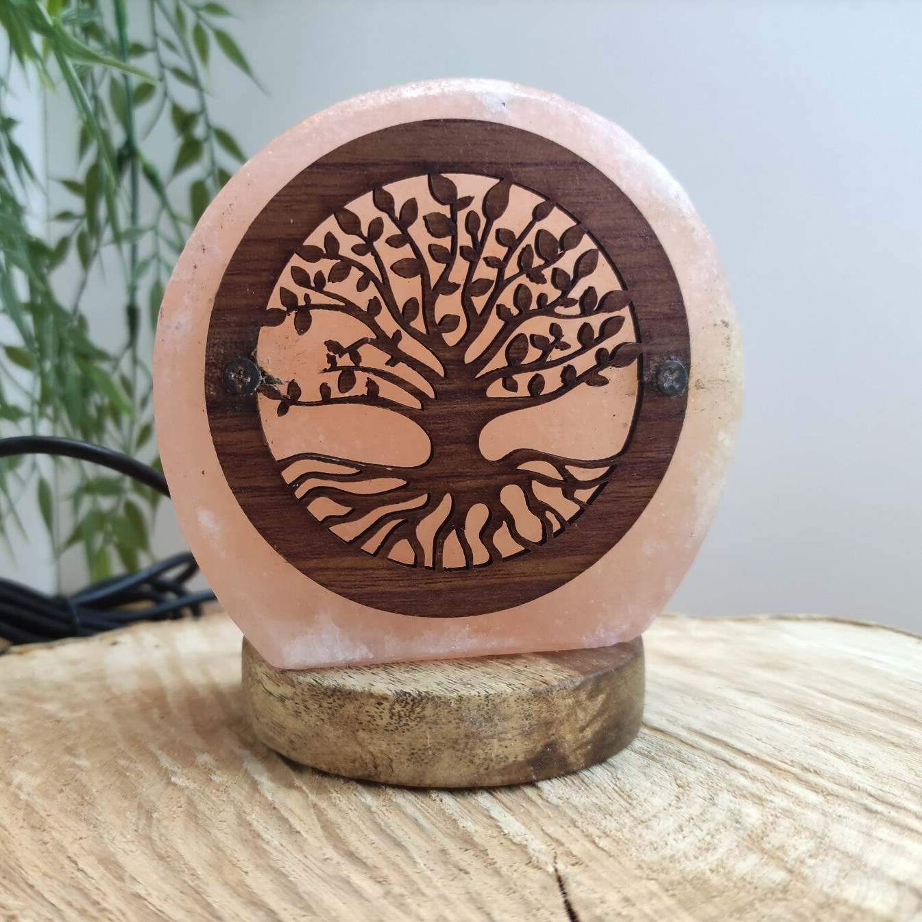 Mini Lampe de sel USB Arbre de vie