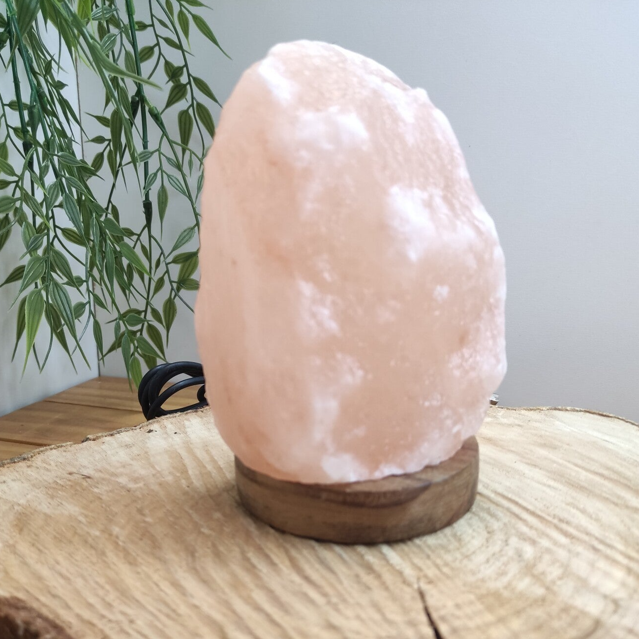 Mini Lampe de sel USB Brute