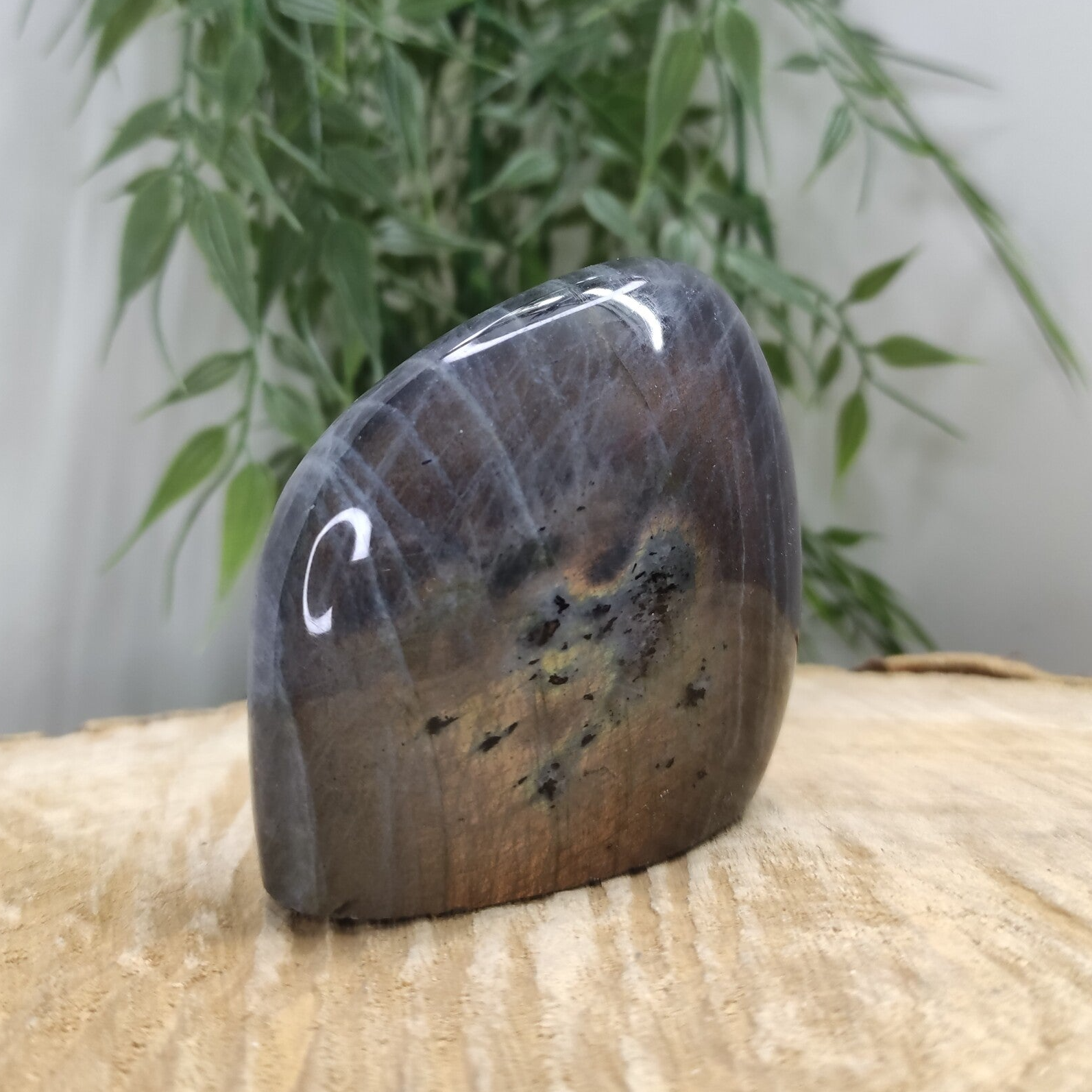 Labradorite violette forme libre