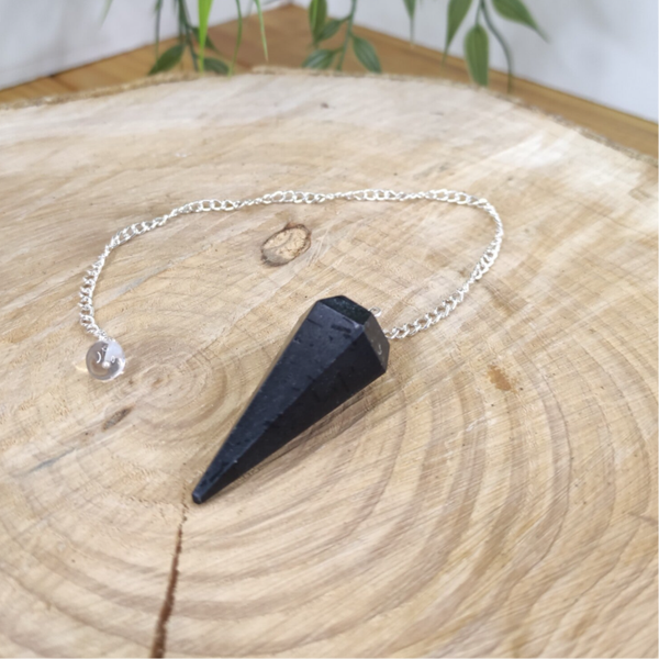 Pendule facetté shungite